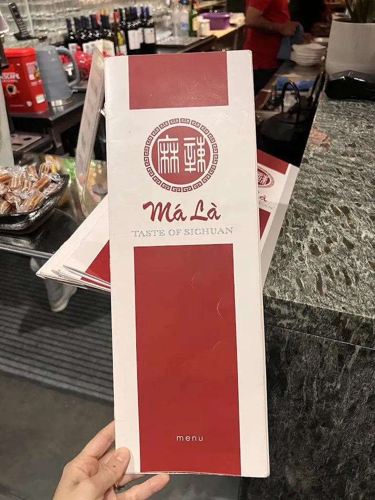 Veronika Ortega_Ma La Sichuan_City of Westminster_review