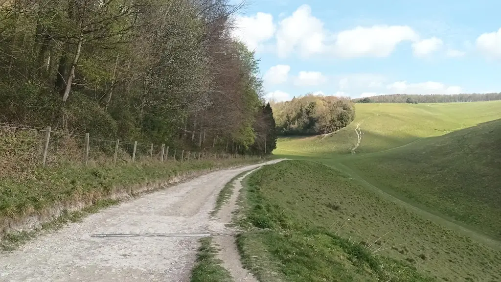 A M_Swanbourne Lodge Tearoom_Arundel_review