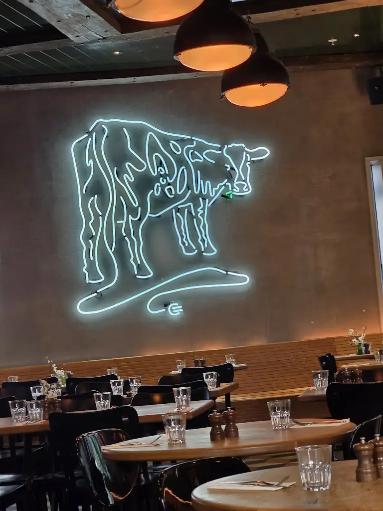 Lesley Skates_Nova Place_City of Westminster_review