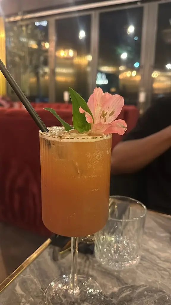 Nia Knight_Onyx Ascot_Ascot_review