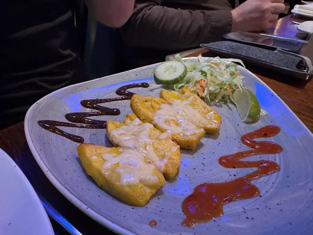 Saul Ellis_Mughal Knight Restaurant_Clare_review