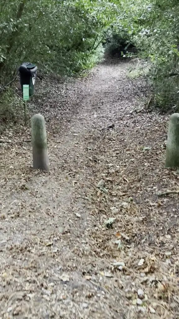 Almona Choudhury_The Spotted Dog_Cold Ash_review