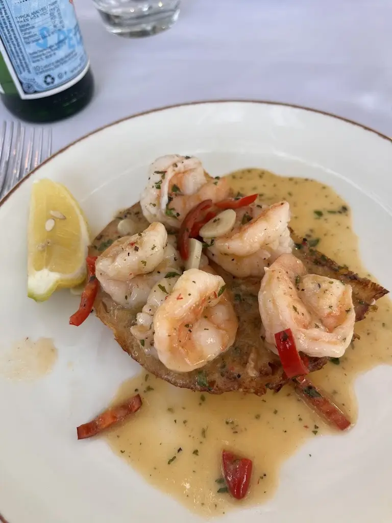 Rosie McNeillis_Piccolino Collingham_Collingham_review