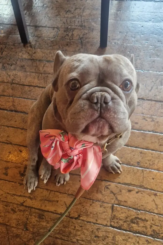 Victoria Waite_Romano Lounge_Colchester_review