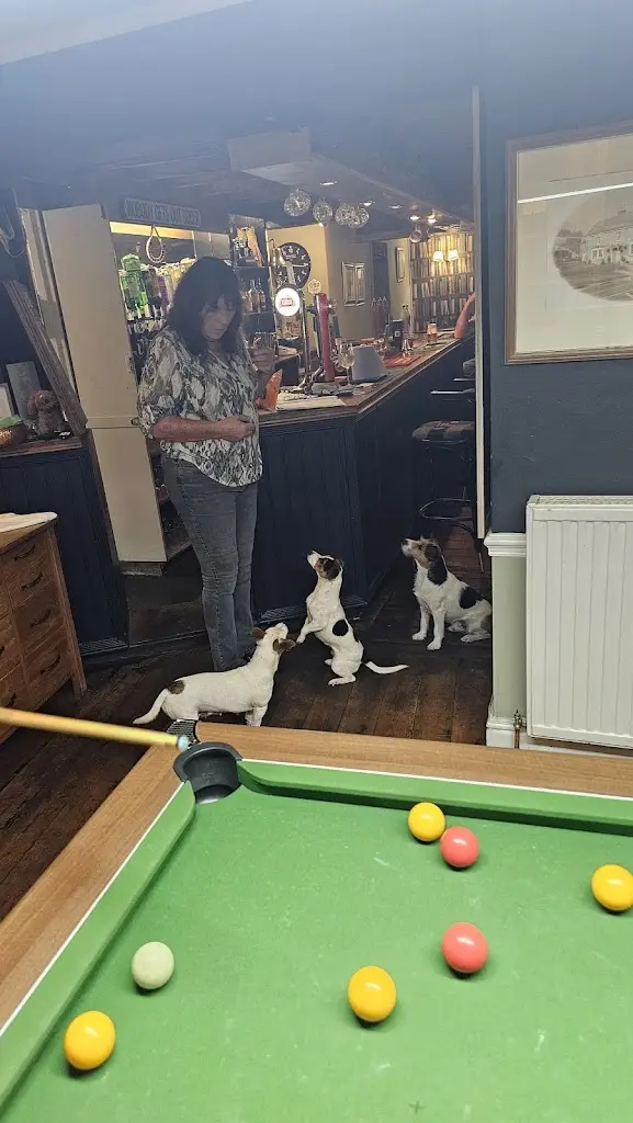 Reece Lusby_The Barleycorn Inn_Collingbourne Kingston_review