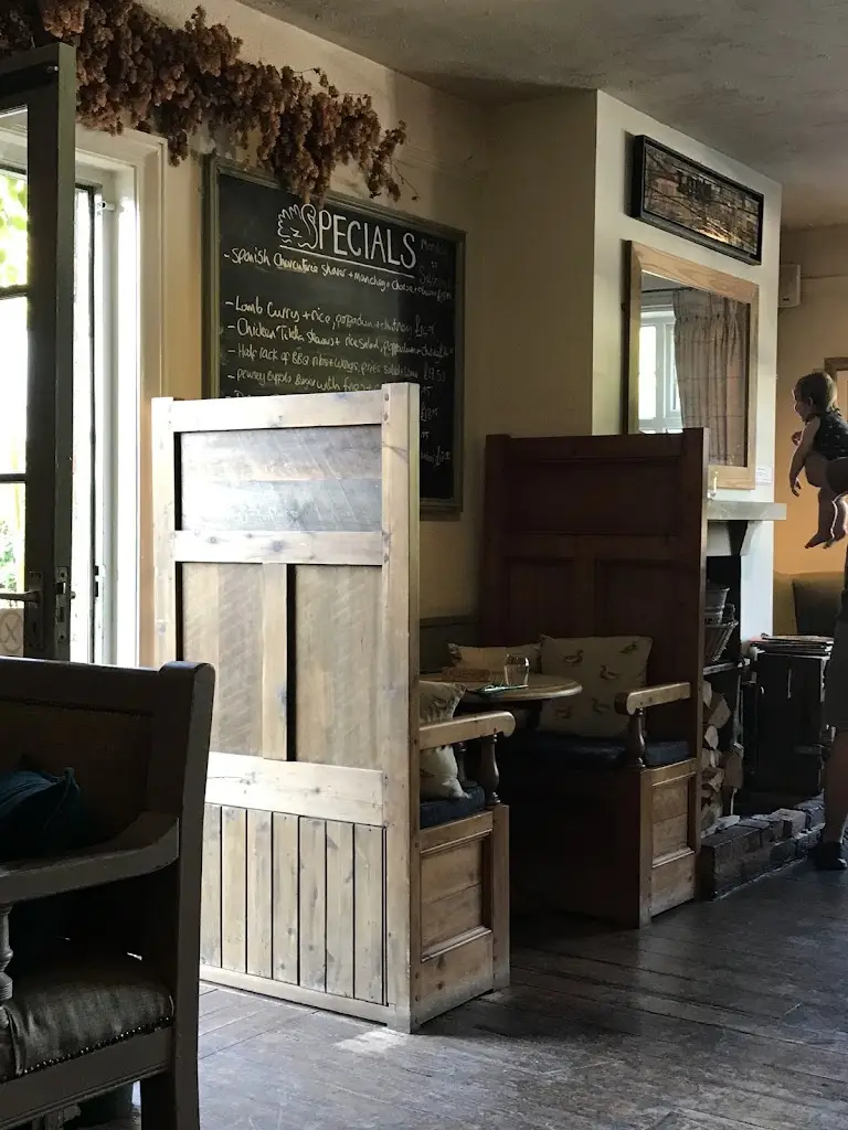 Sara Lloyd_The Swan_Collingbourne Kingston_review