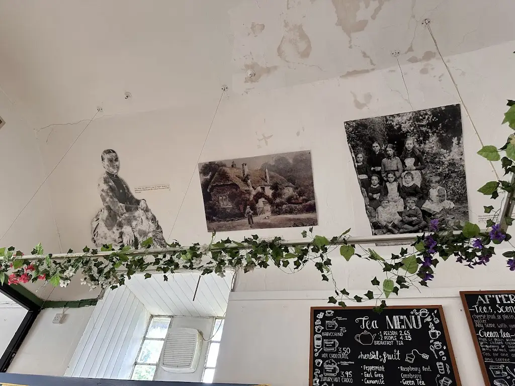 Menu_The School House Tearoom at Cockington_Cockington_image_4