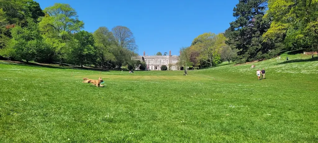 Sarah Buckley_Cockington Court_Cockington_review