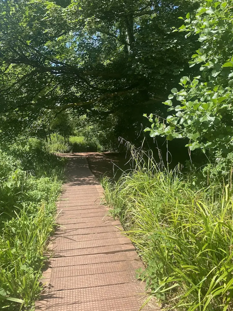 Michelle A_Cockington Court_Cockington_review