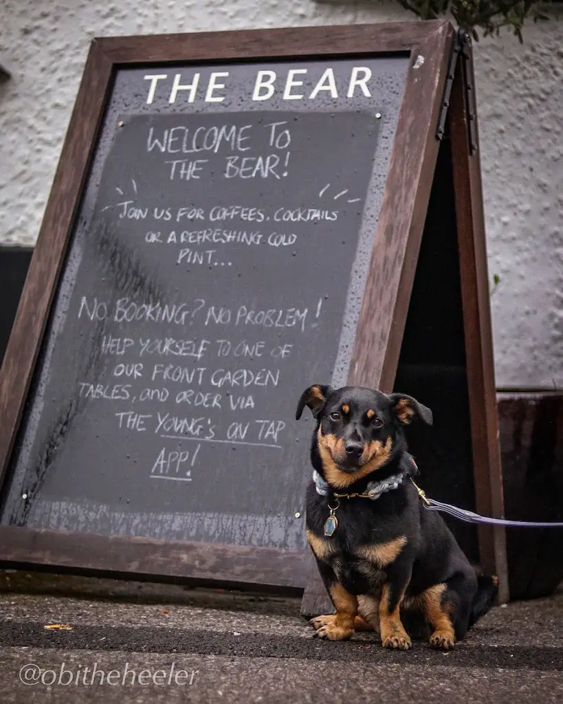 Menu_The Bear_Cobham_image_4