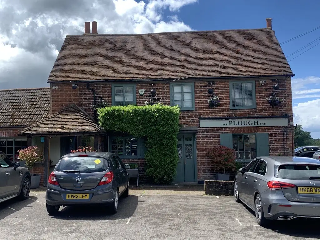 Clare Langrish-Dixon _The Plough Inn_Cobham_review