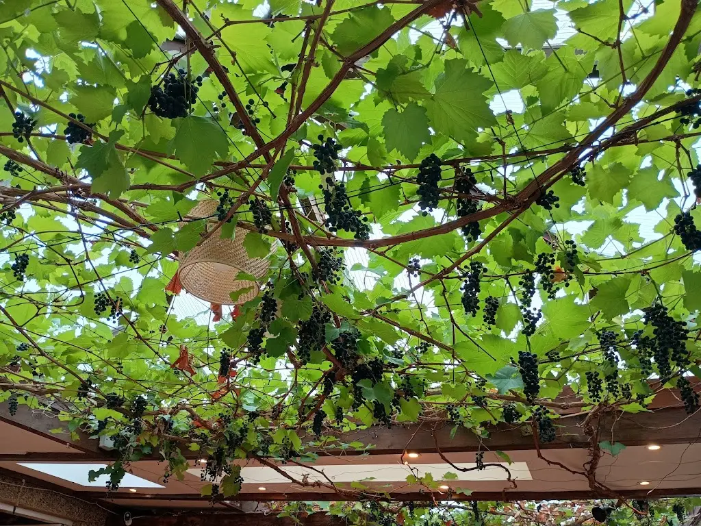 Susan Devey_New Bettola_Colnbrook_review