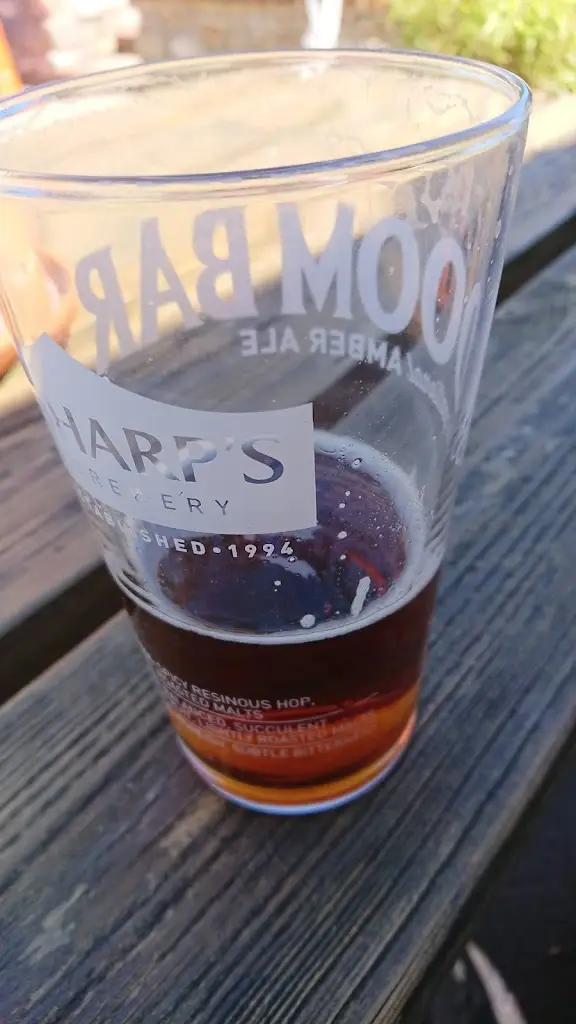 Menu_The Kingfisher Public House_Colyton_image_8