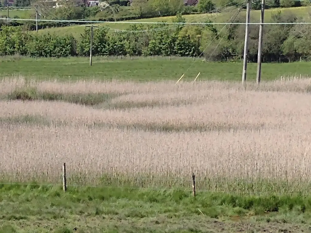 teresa vercoe_The Tramstop Café_Colyton_review