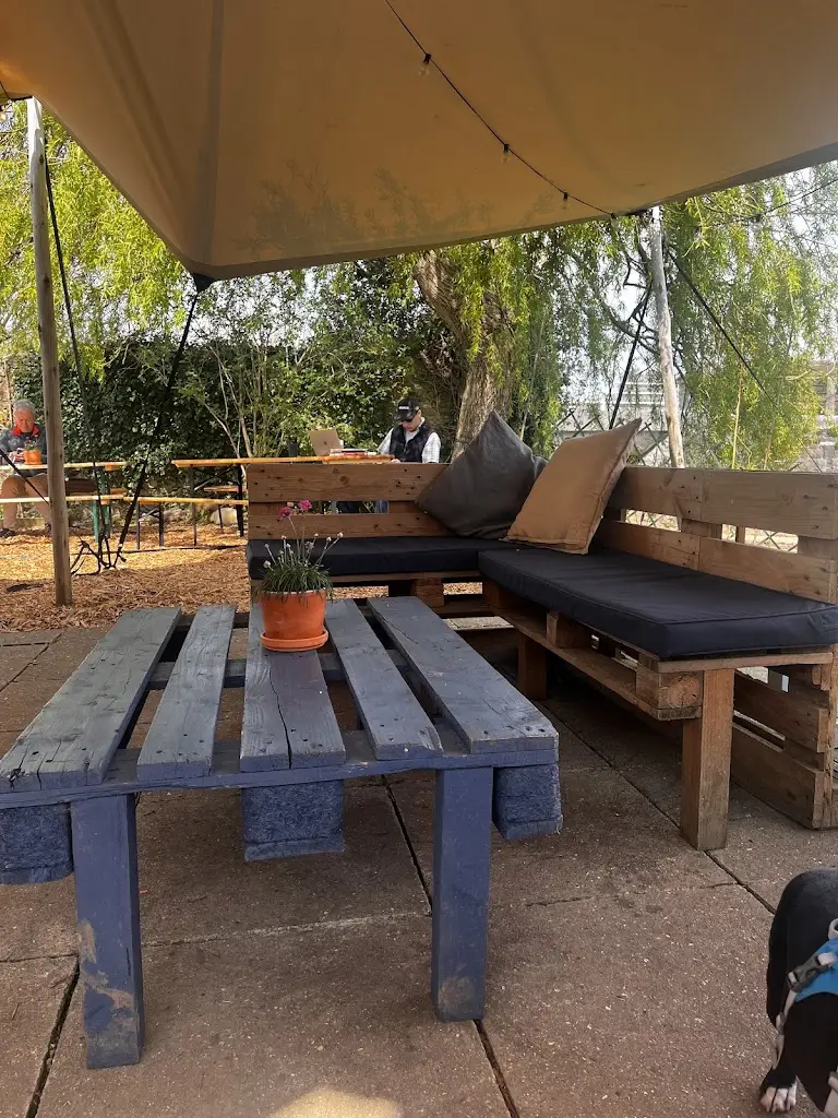 Emma Hasa_Finns Devon_Colyton_review