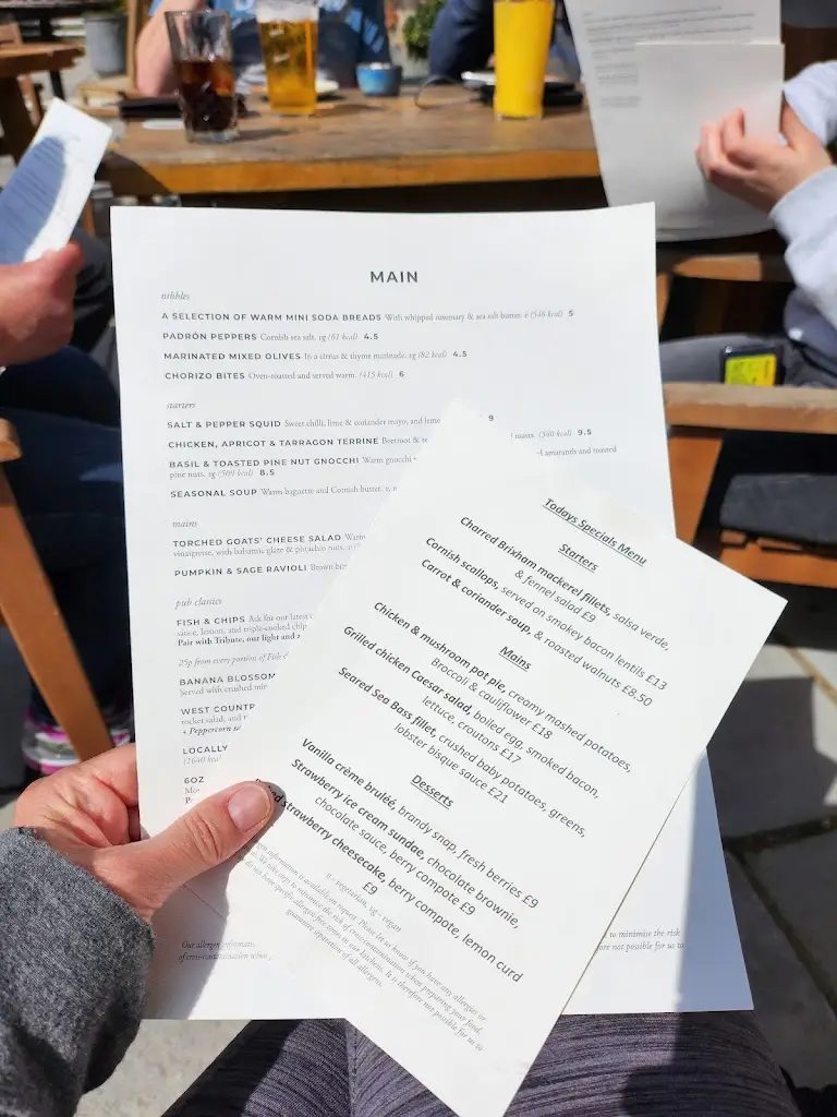 Menu_Masons Arms, Branscombe_Colyton_image_3