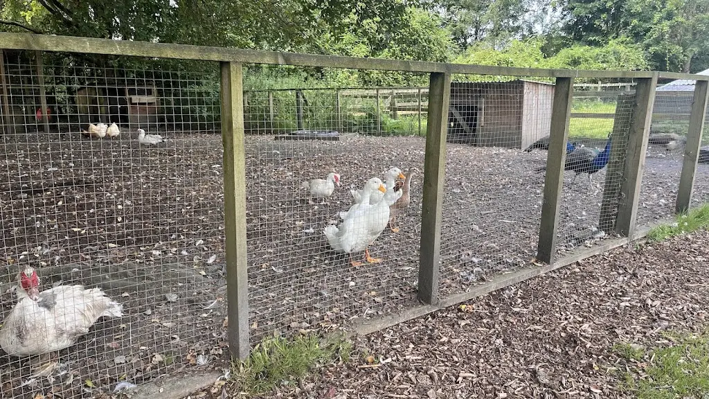 claire grimsted_The Pear Orchard_Clevedon_Bewertung