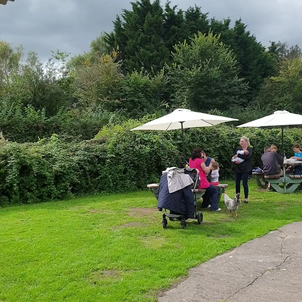 The Pear Orchard_Clevedon_slider_image_2