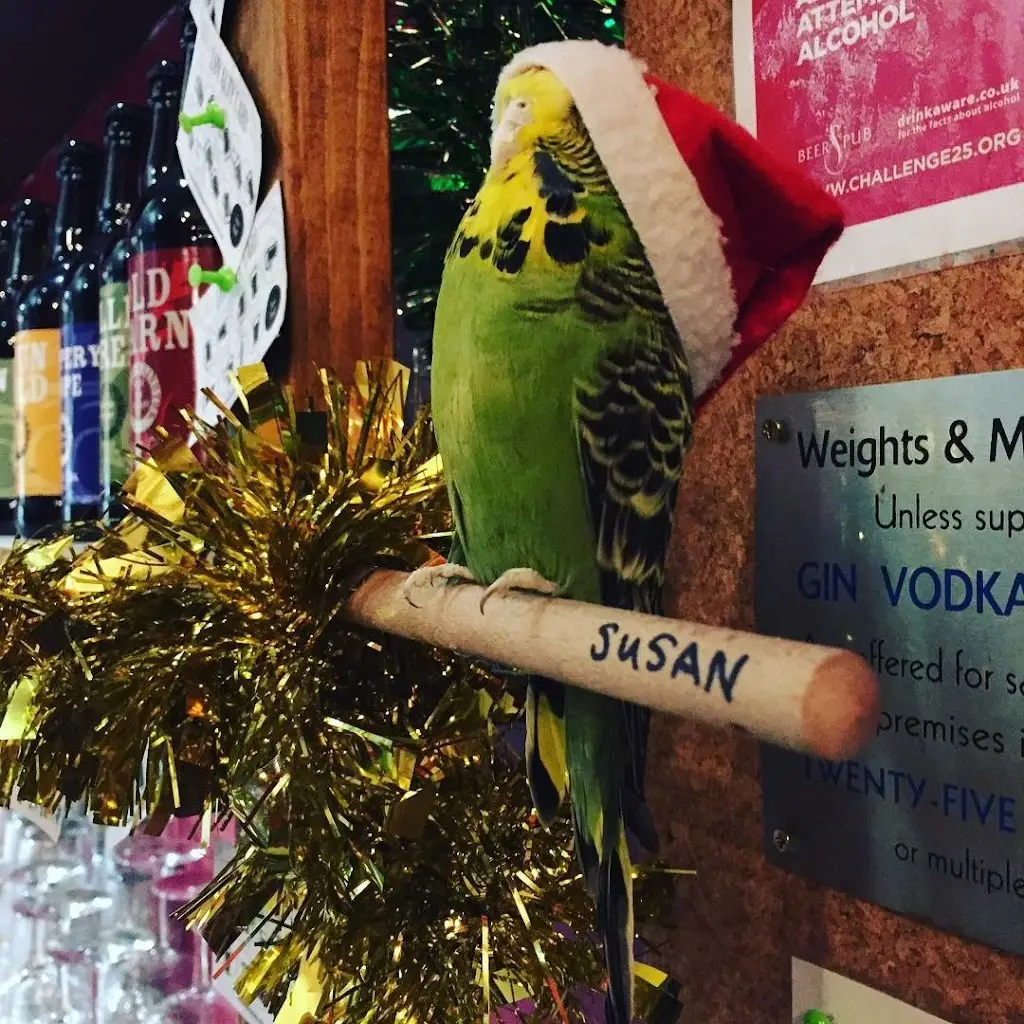 Menu_The Fallen Tree Micropub_Clevedon_image_7