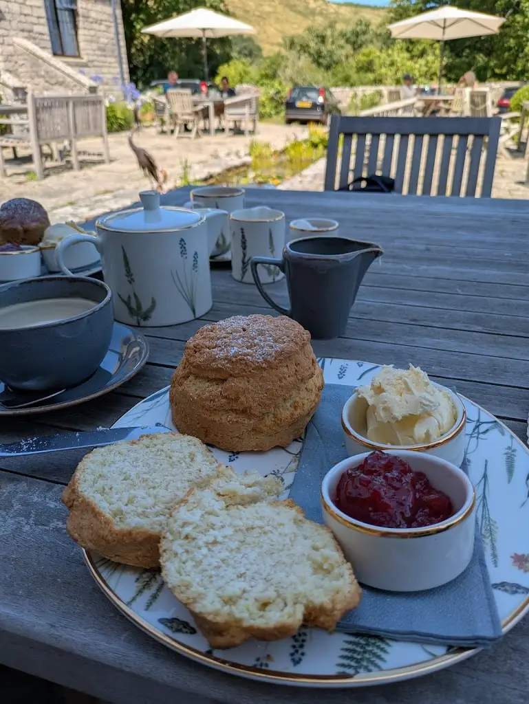 Shalom Bertie100_Mortons Manor_Corfe Castle_review