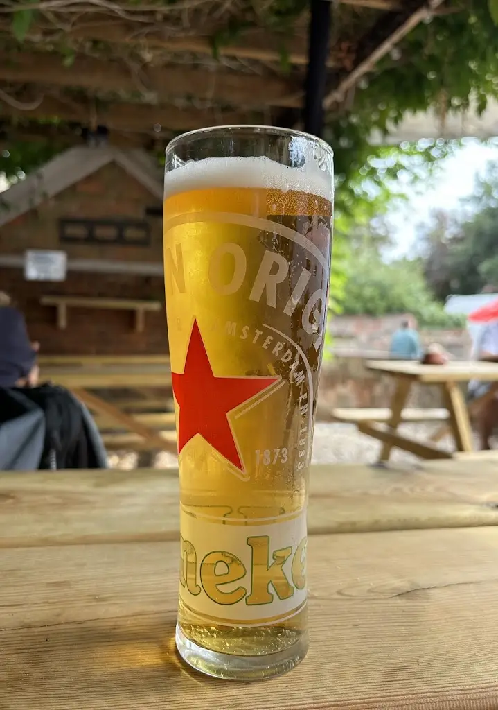 GURCAN GUNER_The Old Swan Uppers_Cookham_review