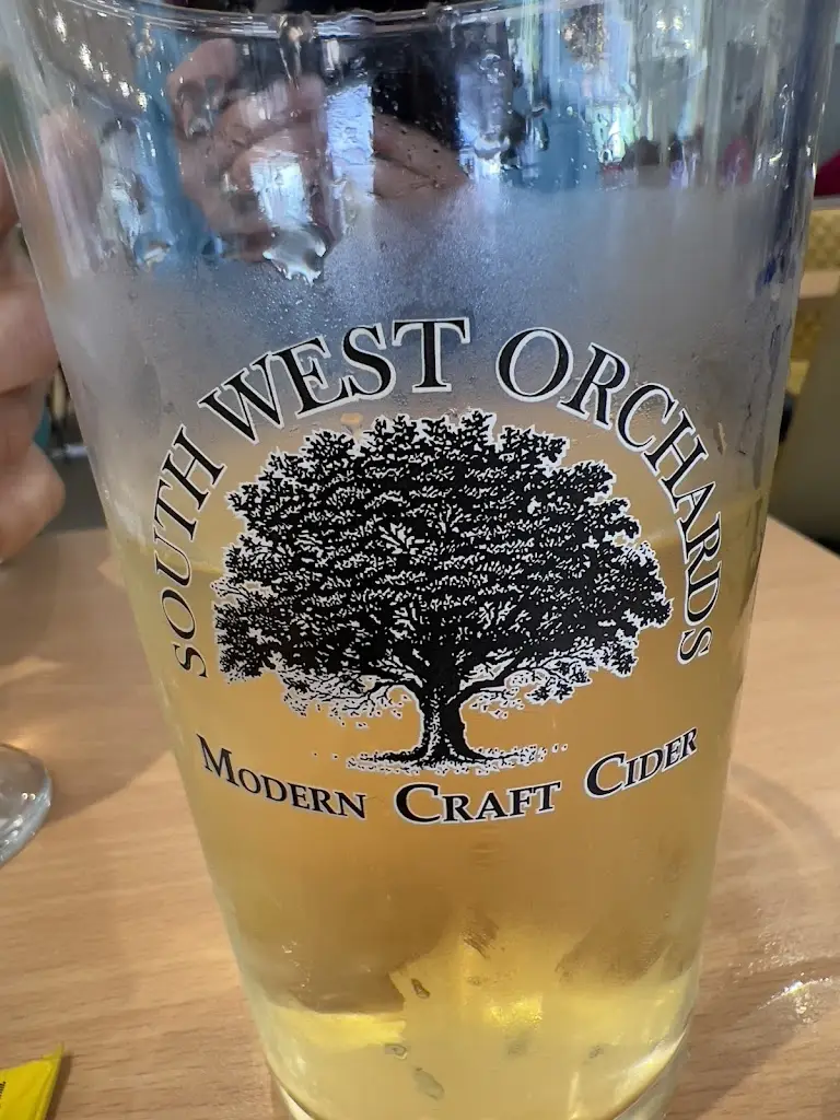 Menu_The Dolphin_Combe Martin_image_4