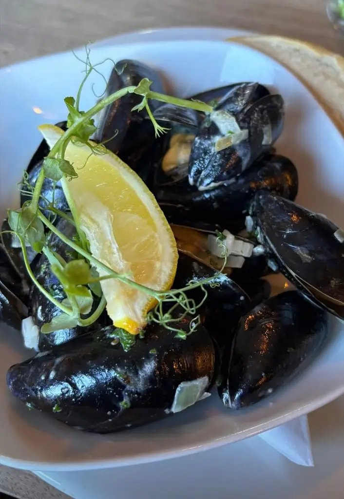 Andrew Pennington_The Dolphin_Combe Martin_review