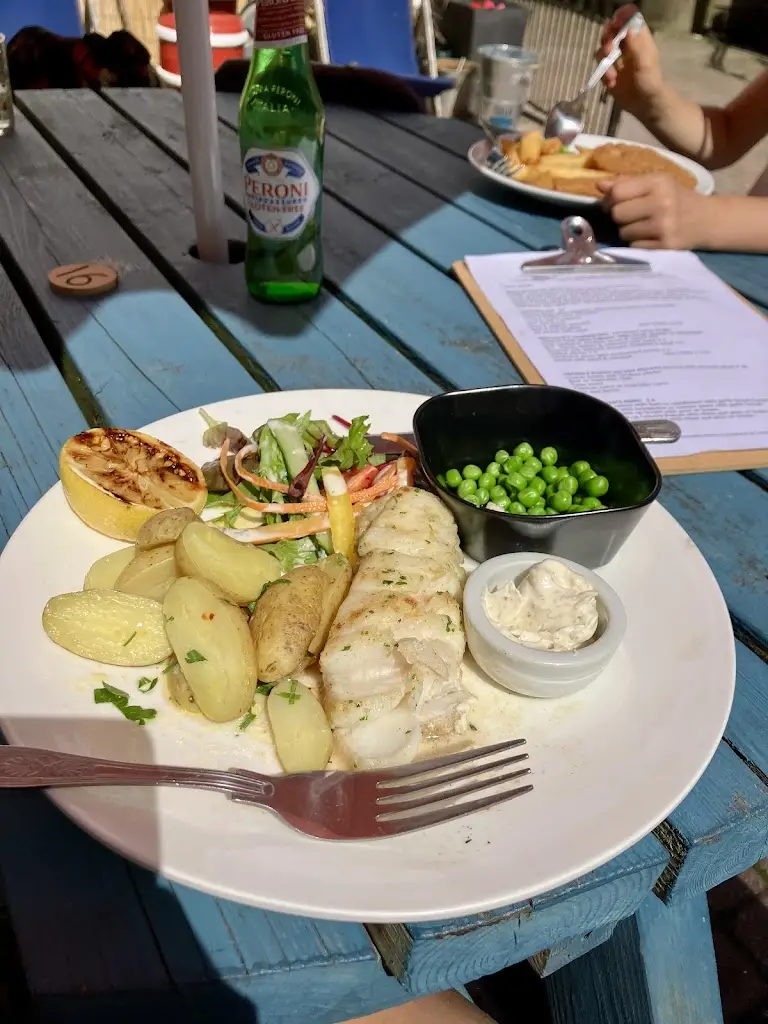 Ivana B_The Dolphin_Combe Martin_review