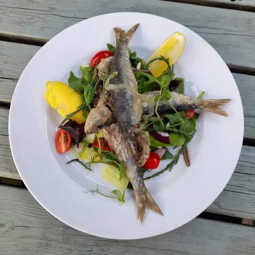 The Dolphin_Combe Martin_slider_image_3