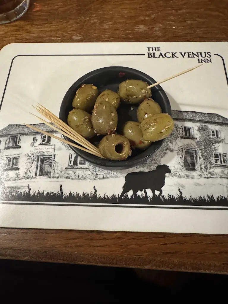 Richard Knight_The Black Venus Inn_Combe Martin_review
