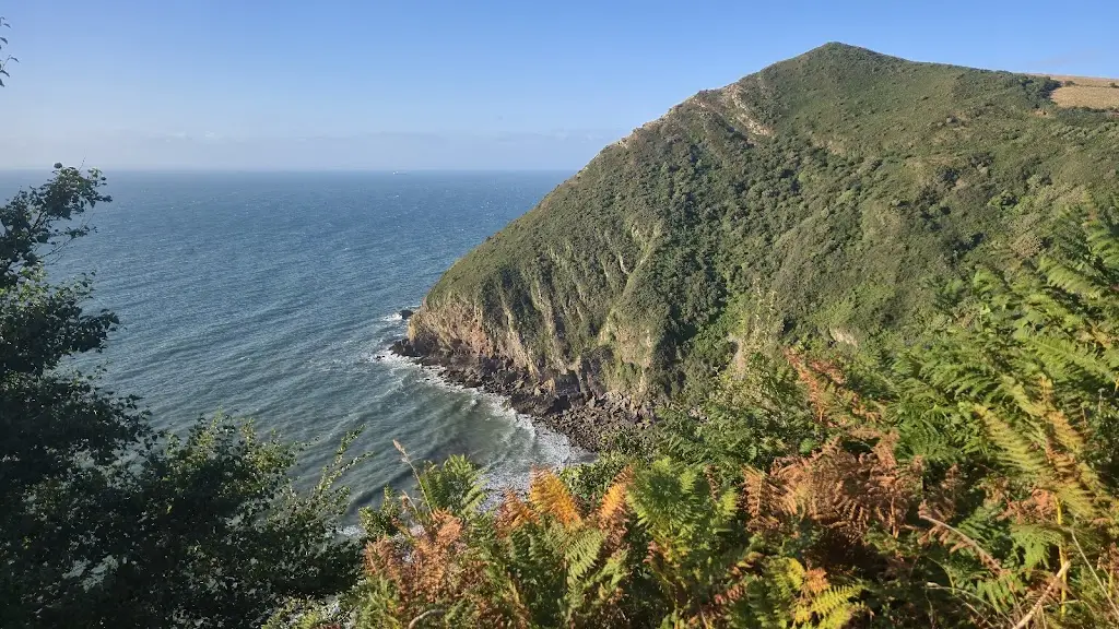 Mark_Lion House Bed and Breakfast_Combe Martin_review