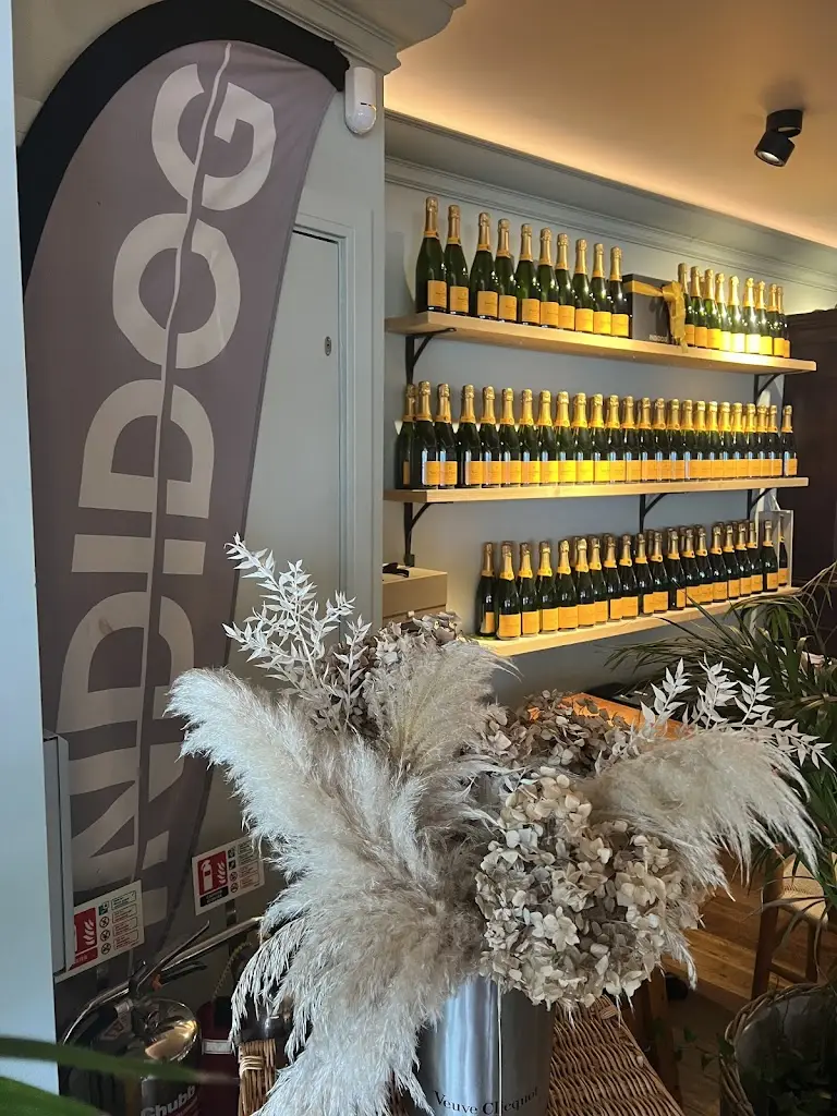 Tanya Malik_INDIDOG Harbourside Restaurant_Cornwall_recensione