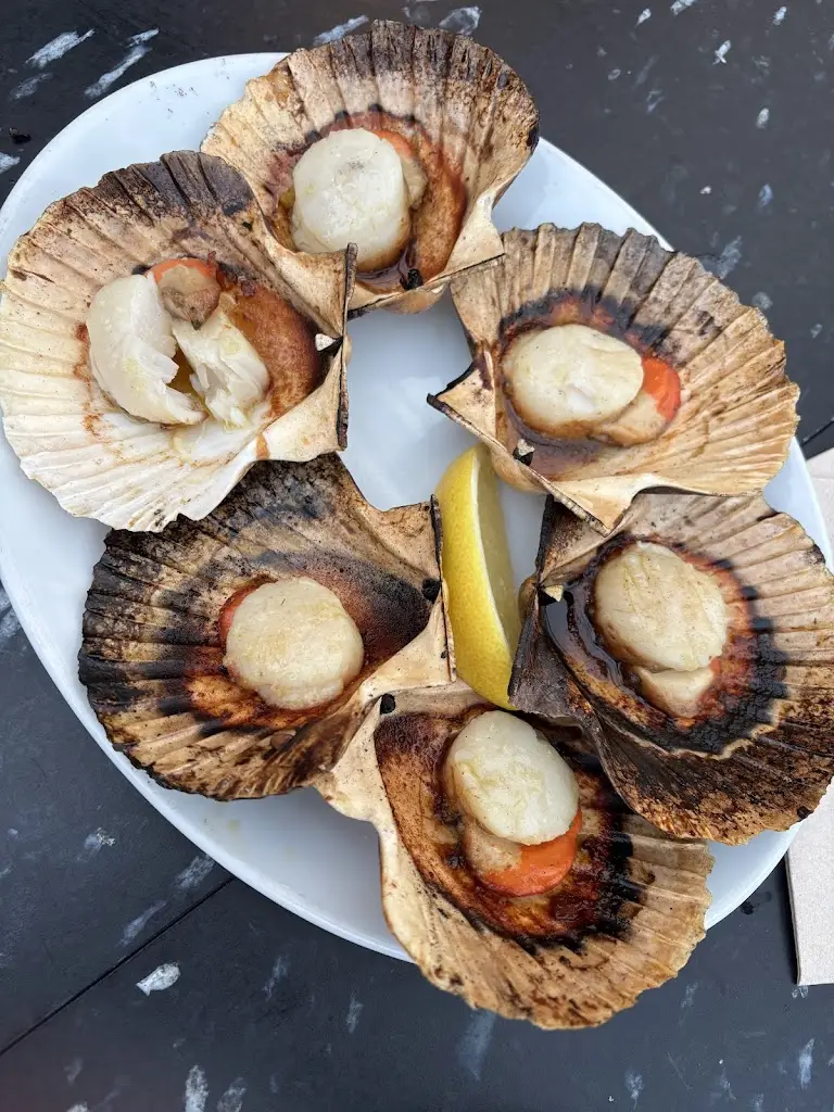 Varvara_Argoe_Cornwall_review