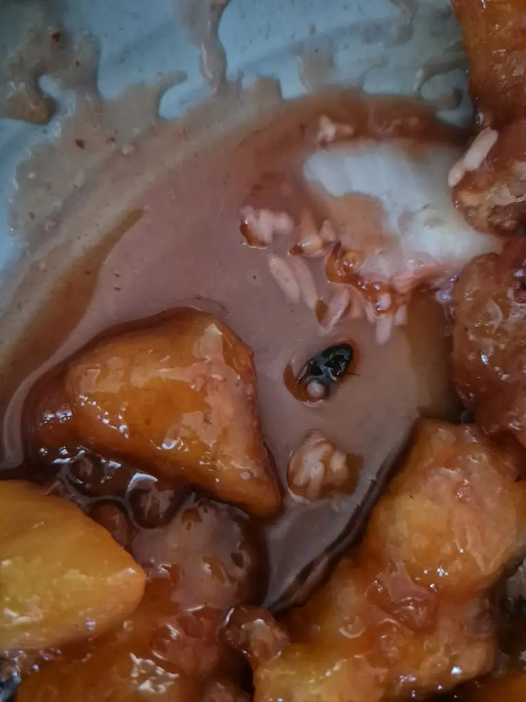 Jade Stanton_Oriental Fusion_Corby_review