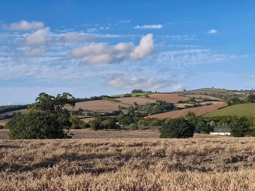 The Red Lion_Copplestone_slider_image_2