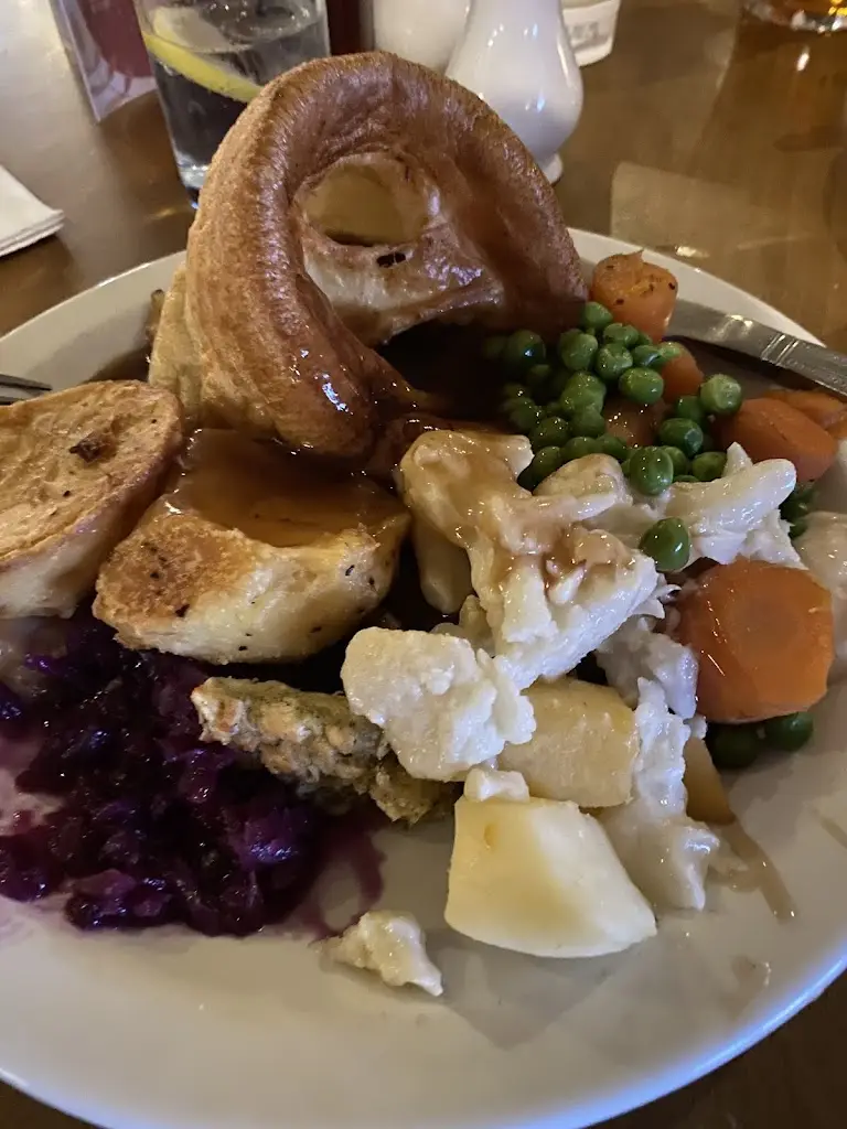 Liz Bell_Copper Beech_Costessey_review