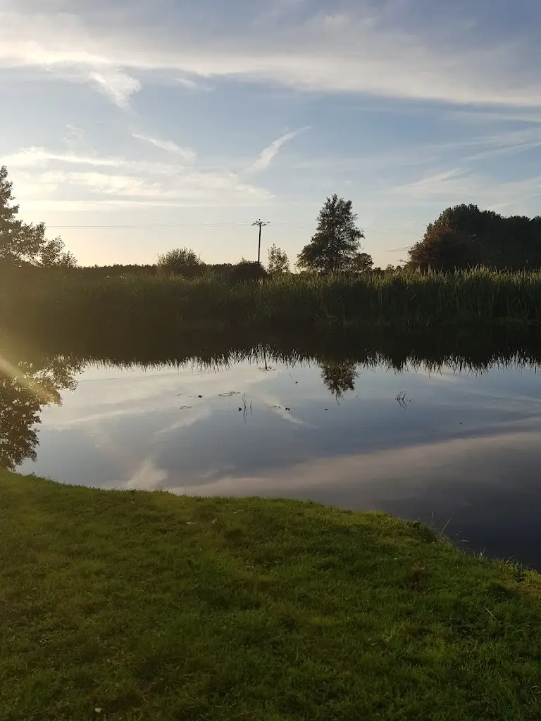 Nell _The Bush_Costessey_review