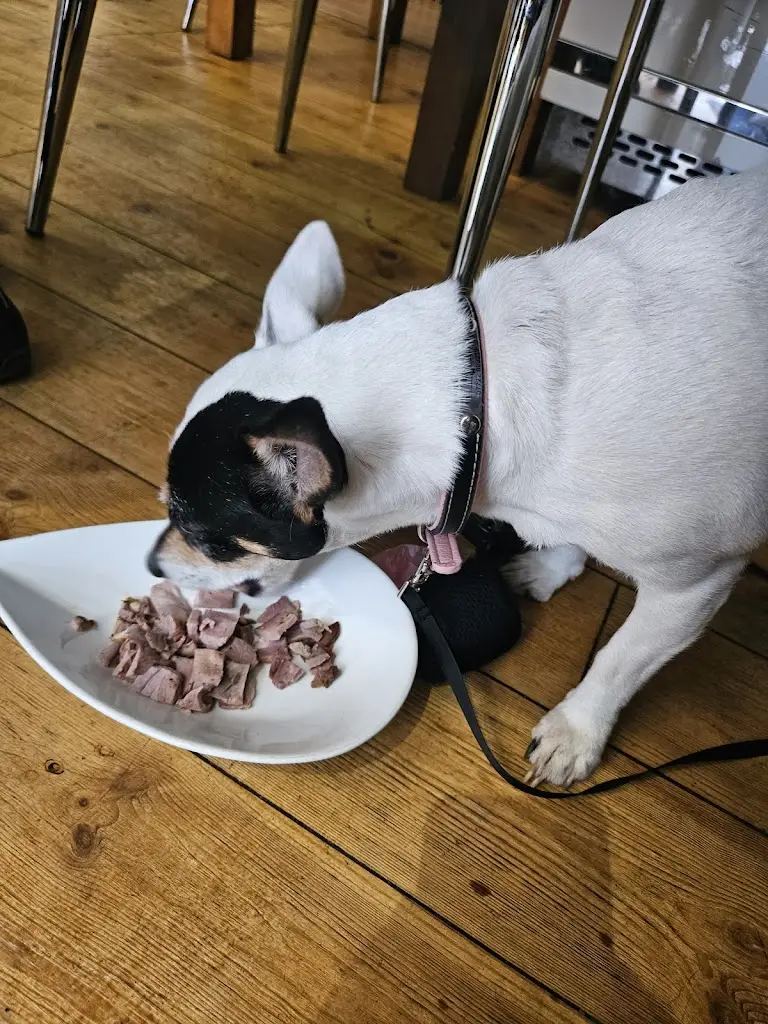 Josie Watson_Casa Rosso Corbridge_Corbridge_review