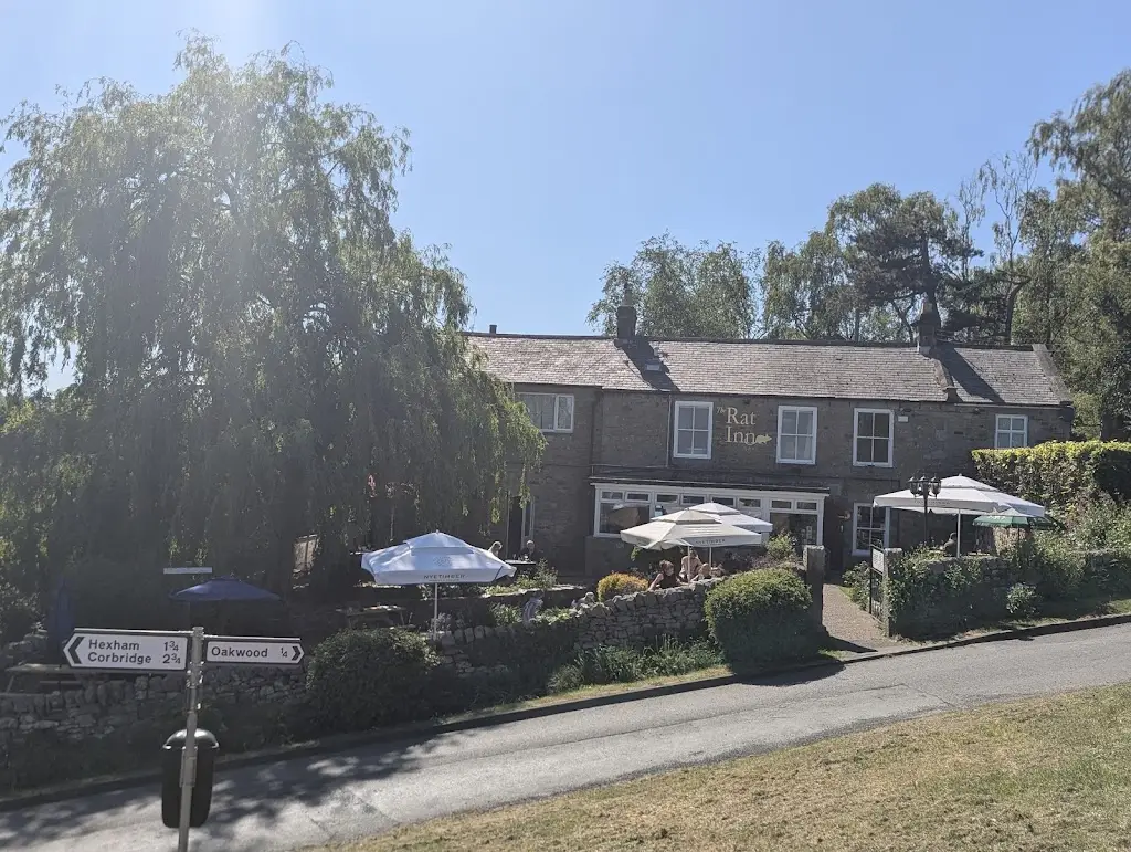 Joshua_The Rat Inn_Corbridge_reseña