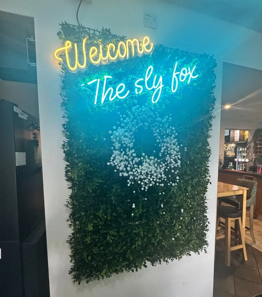 Amber Nicklin_The Sly Fox_Conisbrough_review