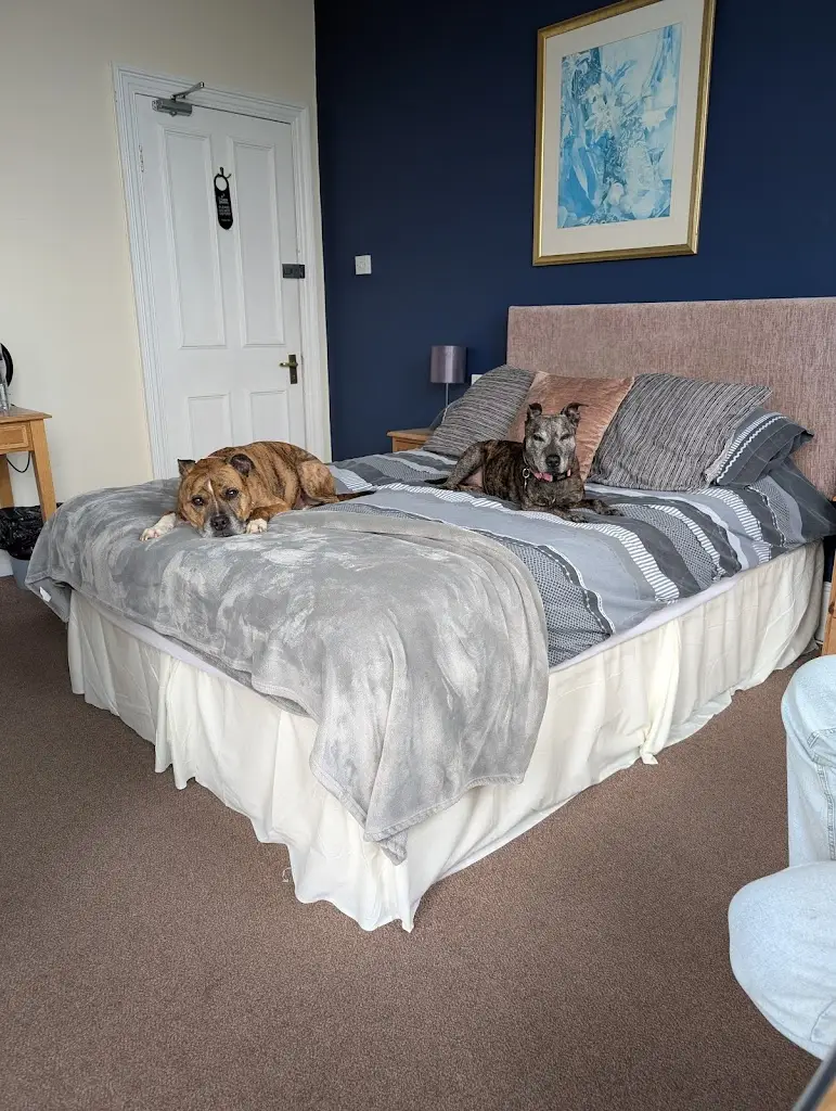 Kathryn Wise_White Hart Inn_Ashton Keynes_review