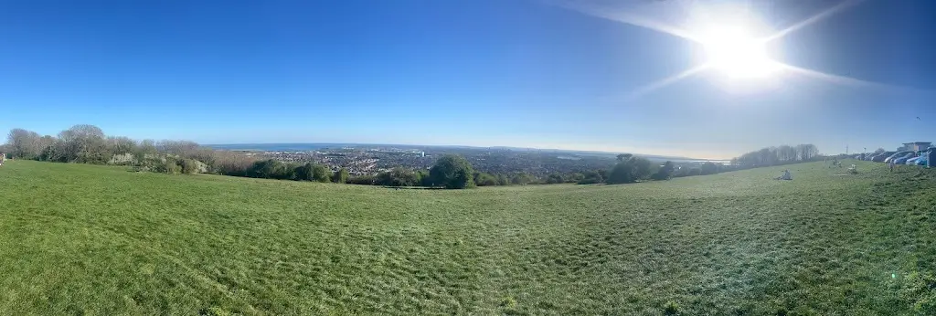 Nebu Mathews_Mick's Monster Burgers_Cosham_review