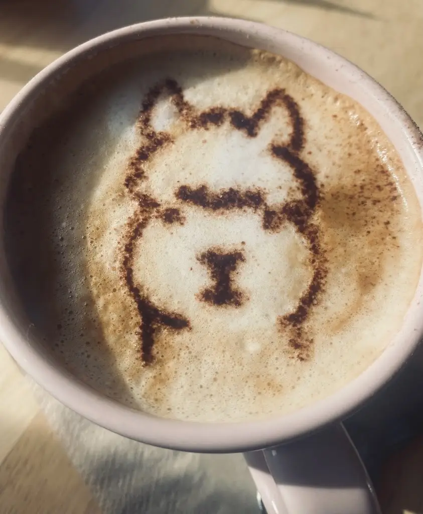 K Winter_Jennies Kitchen_Ashton Keynes_review