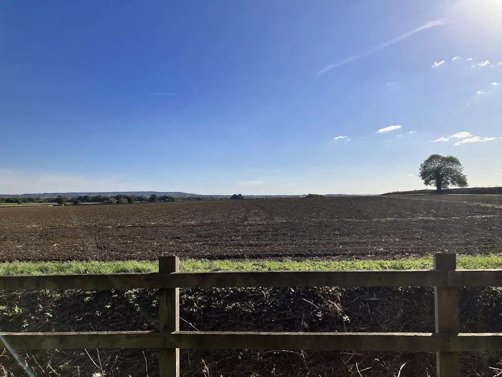 Chris B_The Carrington Arms_Cranfield_review