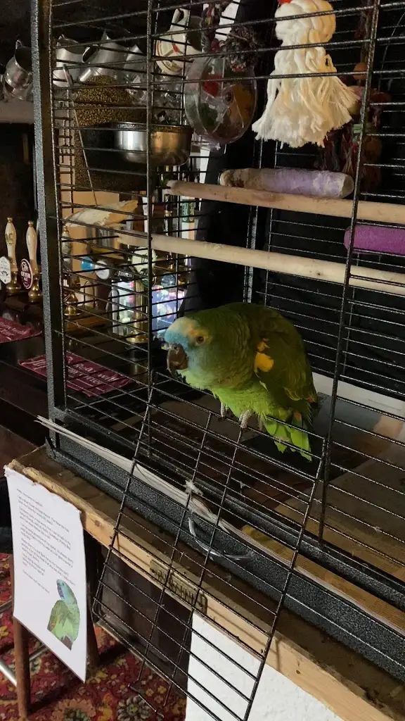 The New Inn_Crediton_slider_image_2