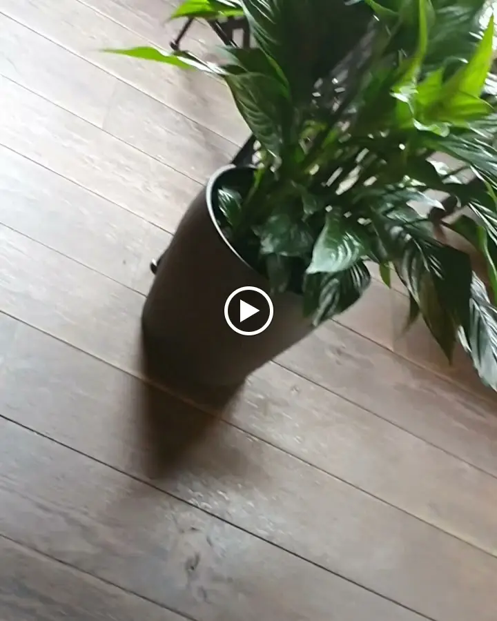 The Carre Arms Hotel and Restaurant_Cranwell_slider_image_2