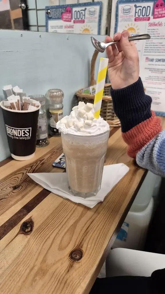 Suzanne Pinkney_Blondes_Cottingham_review