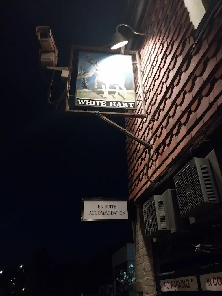 Natasha Subi_The White Hart Hotel_Cranleigh_review