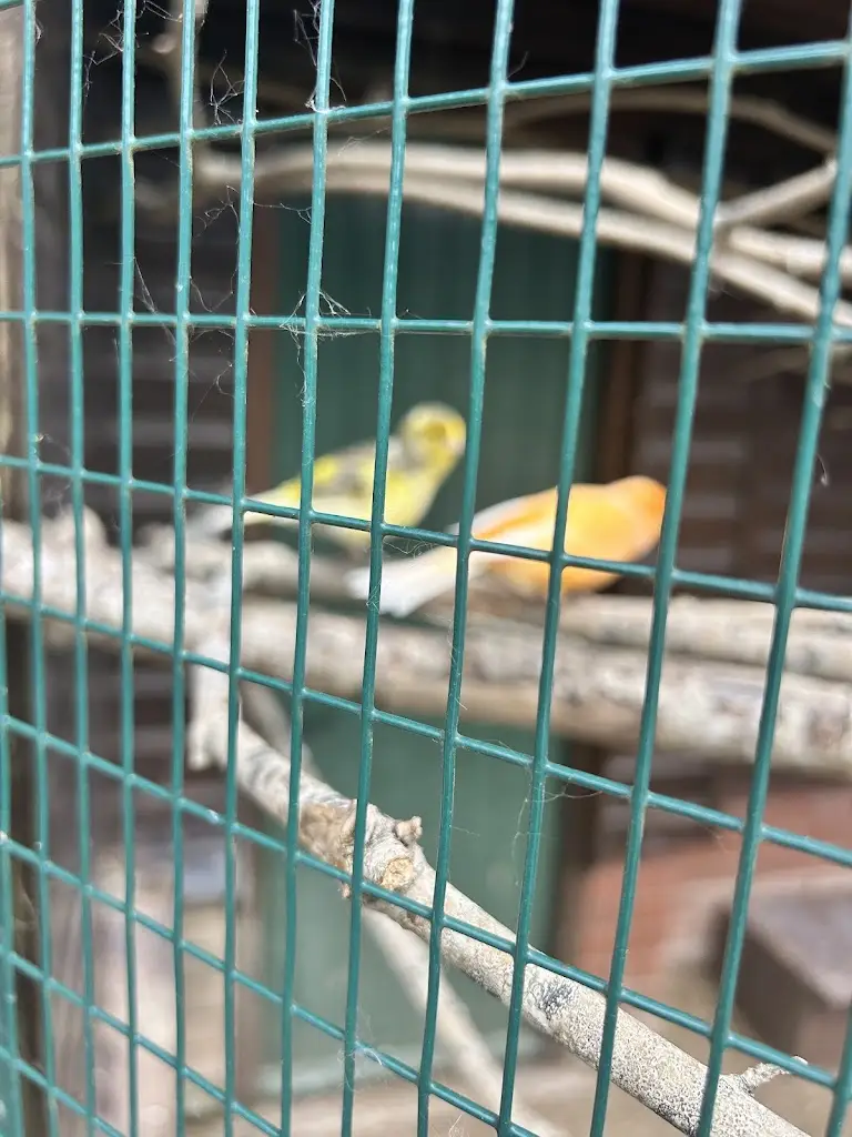 Debbie Winlow_The Lifeboat_Cowes_review