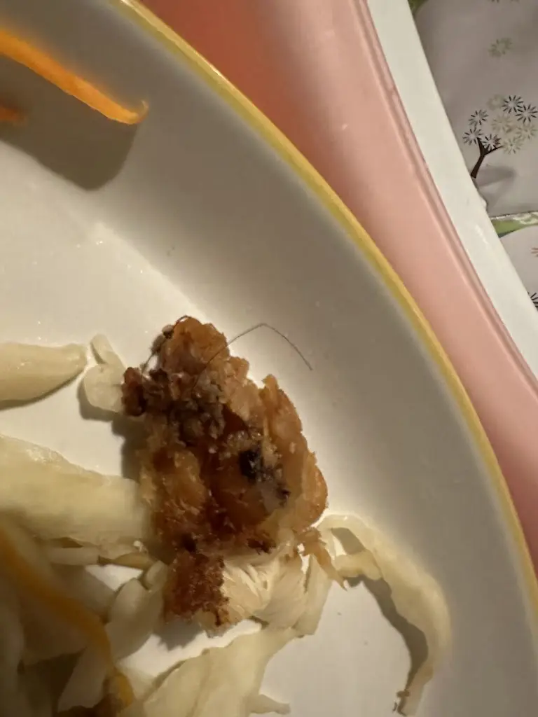 Colin Booth_Hong Kong House_Cowes_review